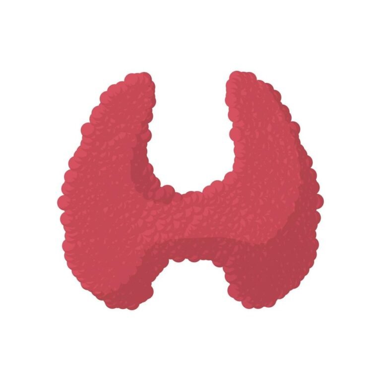 Programs thyroid